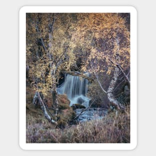 'Golden Birches, Autumn Waterfall', Strath Fionan, near Kinloch Rannoch. Sticker